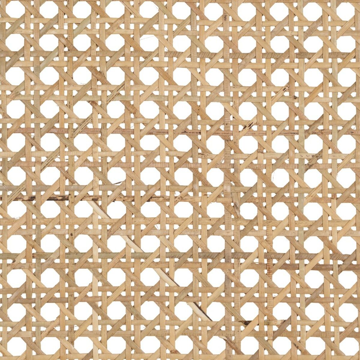 8445146082817_S8802956_P90