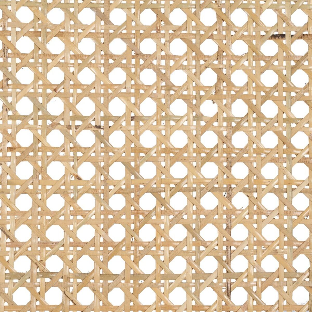 8445146082824_S8802957_P90