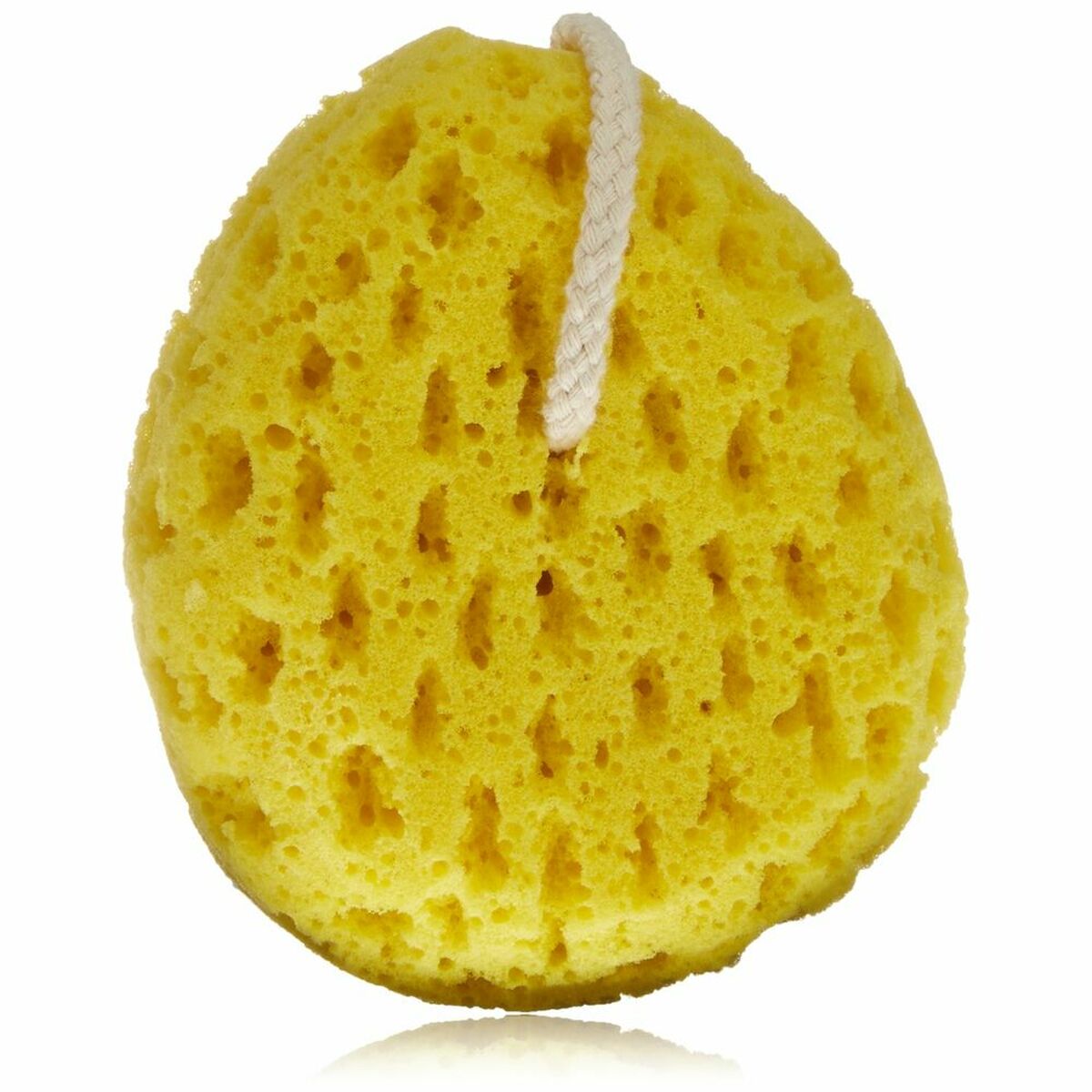 6938294620304_R02