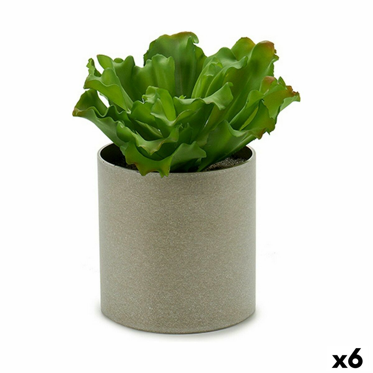 S3623998_P0_WBG_icon0