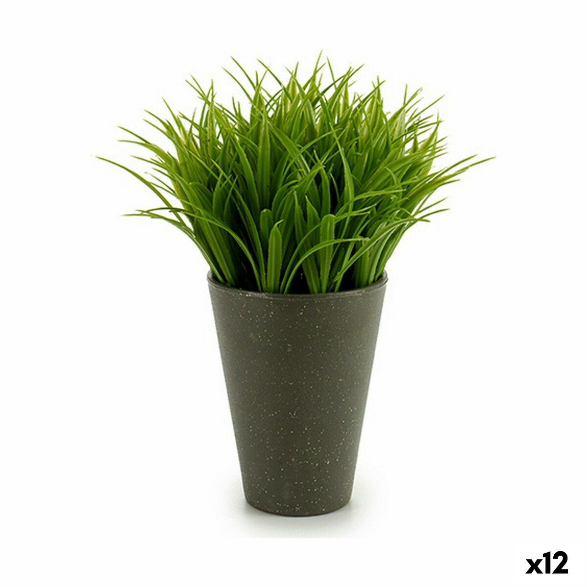 S3624279_P0_WBG_icon0
