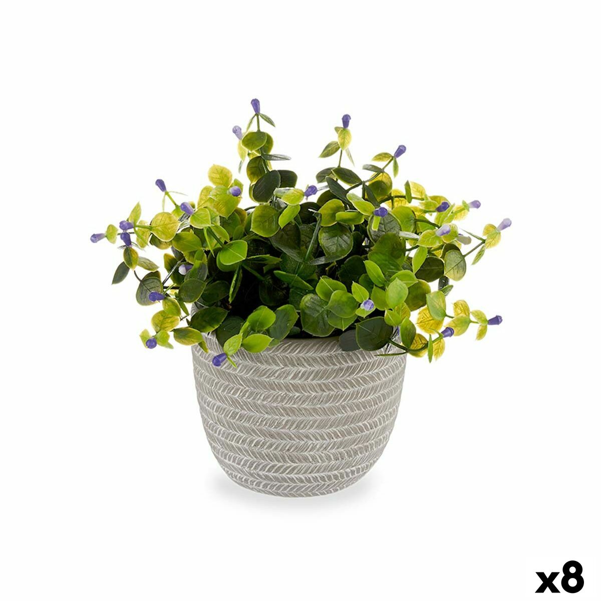 S3626107_P0_icon0