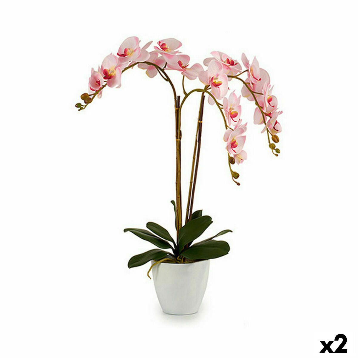S3623948_P0_WBG_icon0