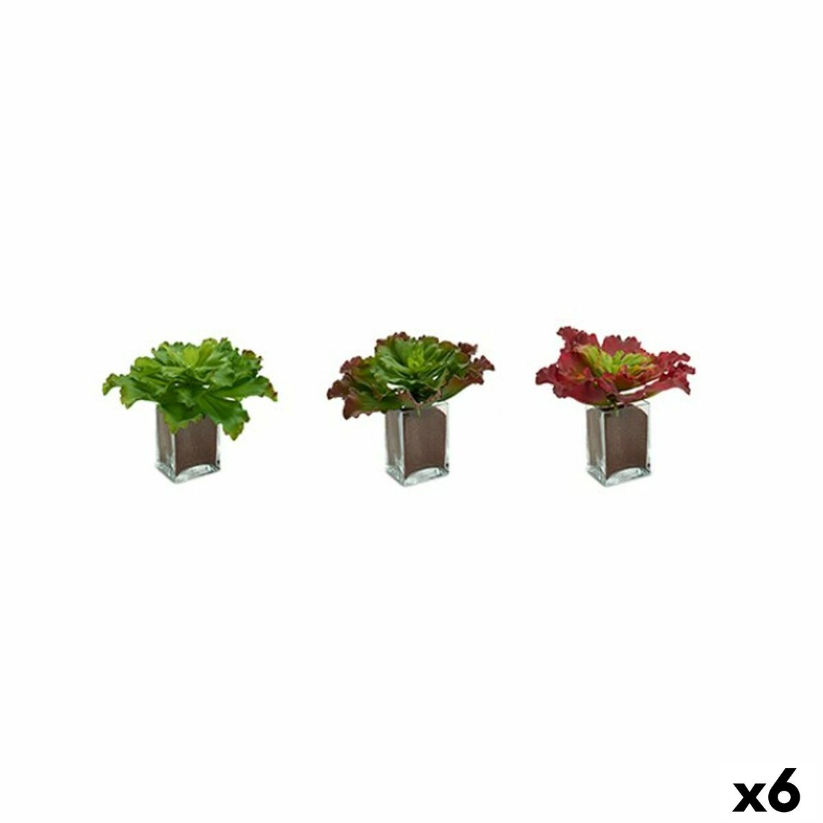 S3623999_S3623999_P1_icon0