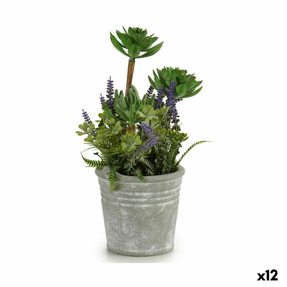 S3625481_P0_WBG_icon0