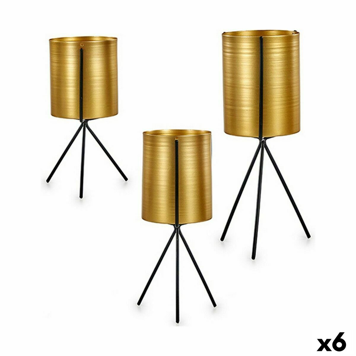 S3625215_P0_WBG_icon0