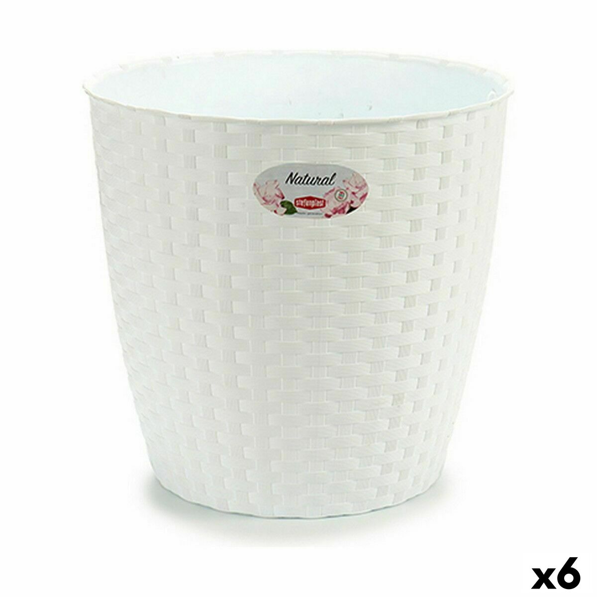 S3623605_P0_WBG_icon0