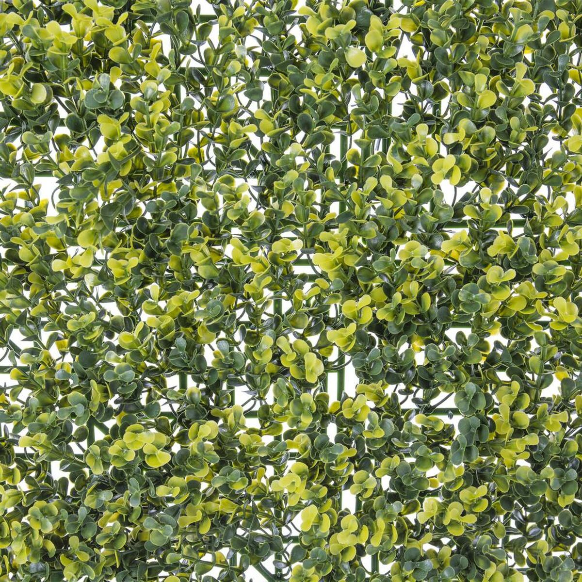 8424345828778_S8700465_P10