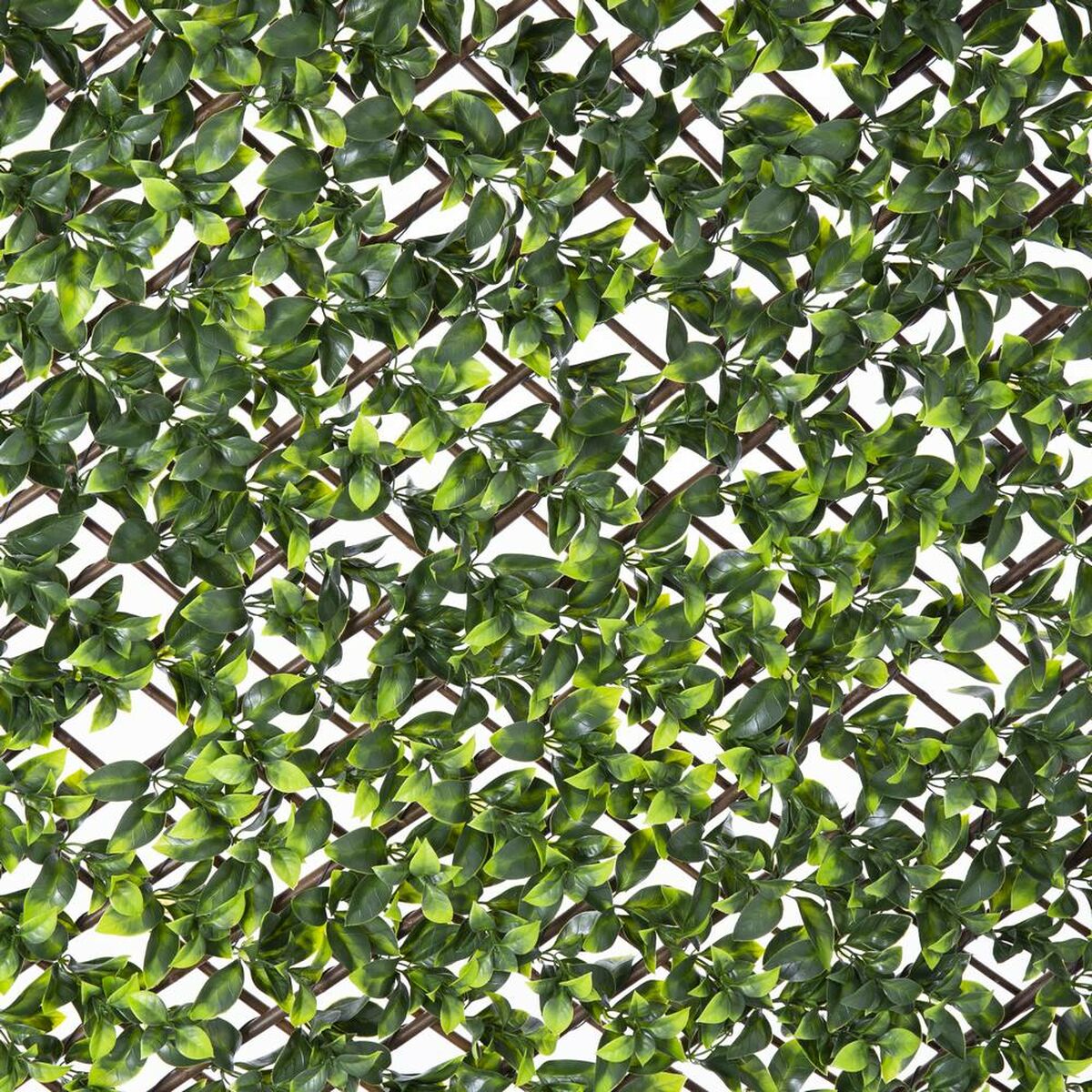 8424345828822_S8700469_P10