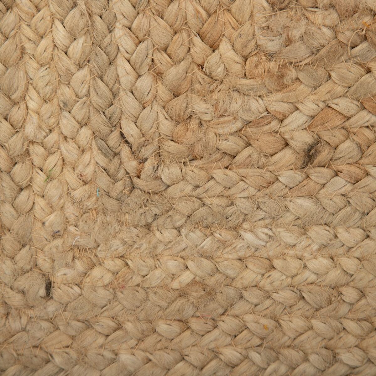 8424346527304_S8800250_P20