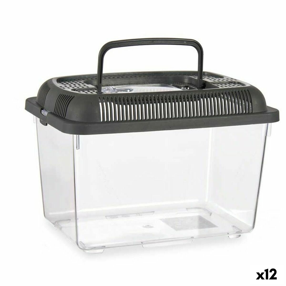 S3625726_S3625726_P1_icon0