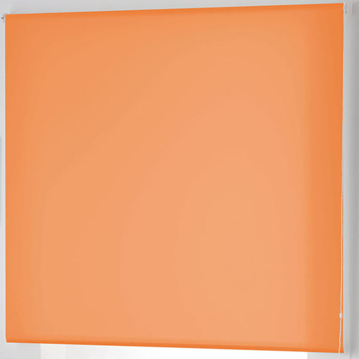 8434211263473_S2801289_P21