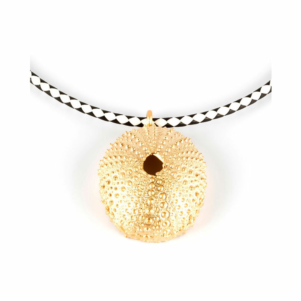 8457972000248_S05115803_P00