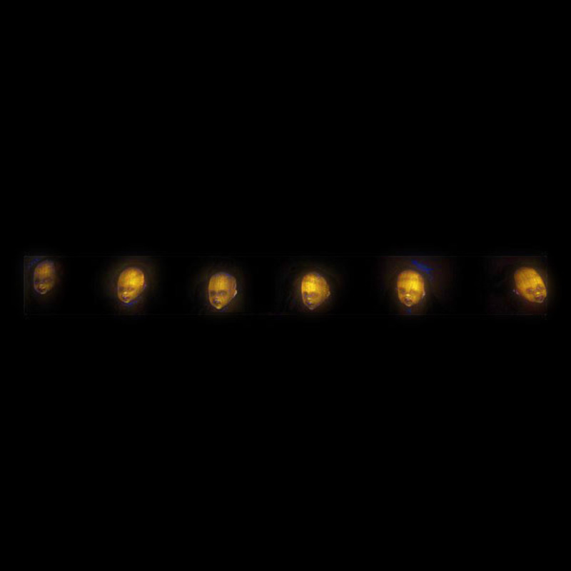 8422259618584_1_P10