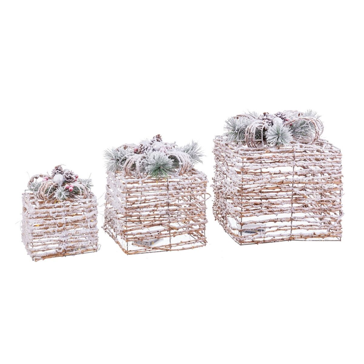 8445147206588_S8803781_P10