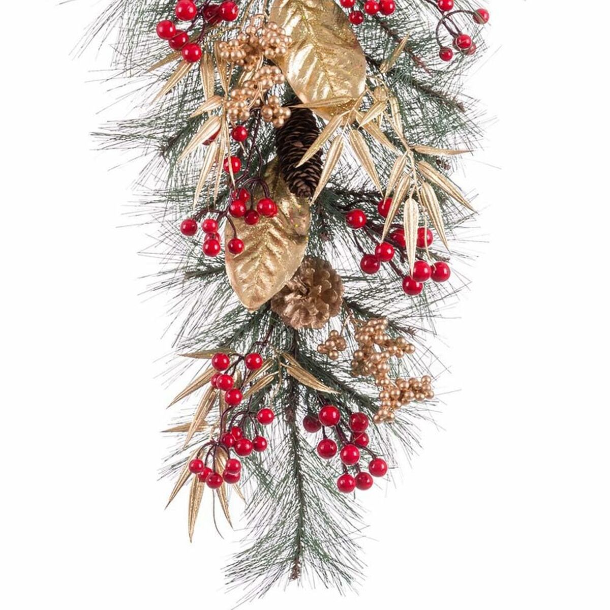 8445147220669_R20