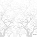 8445142316671-s2805022-p2-v-10