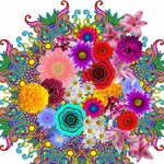 8420778689252-s2802780-p20