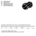 13601-tallas-pelotas