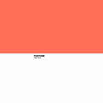 8445142039457_S2805236_P13