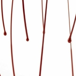 4899888122760_2_FTP11