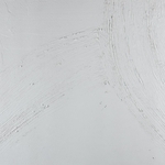 8445146050915_S8801571_P30