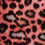8445146071200_S8802352_P20