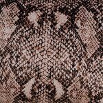 8445146071248_S8802356_P20