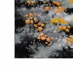 8445146083289_S8802944_P50