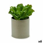 S3623998_P0_WBG_icon0