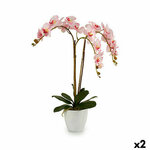S3623948_P0_WBG_icon0