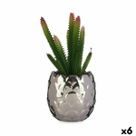 S3626268_P0_WBG_icon0