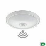 8425998325096_R0_icon1