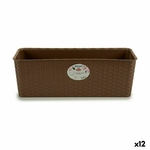 S3623591_P0_WBG_icon0