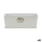 S3623594_P0_WBG_icon0