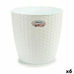 S3623605_P0_WBG_icon0