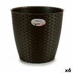 S3623606_P0_WBG_icon0