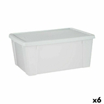 S3625831_P0_WBG_icon0