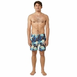 9358819185601_S64103868_P20