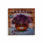 8420327538697_S3411486_P00