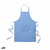 S1420629_P0_icon0