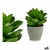 S3616020_18430852770629_P1_icon0