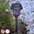 V0103496_000_MKT-v_12