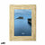 S1437989_P0_icon1