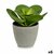 S3624736_P0_WBG_icon0