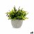S3626107_P0_icon0