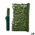 S3624241_P0_WBG_icon0