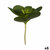 S3624951_P0_WBG_icon0