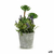 S3625481_P0_WBG_icon0