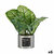 S3625857_P0_WBG_icon0